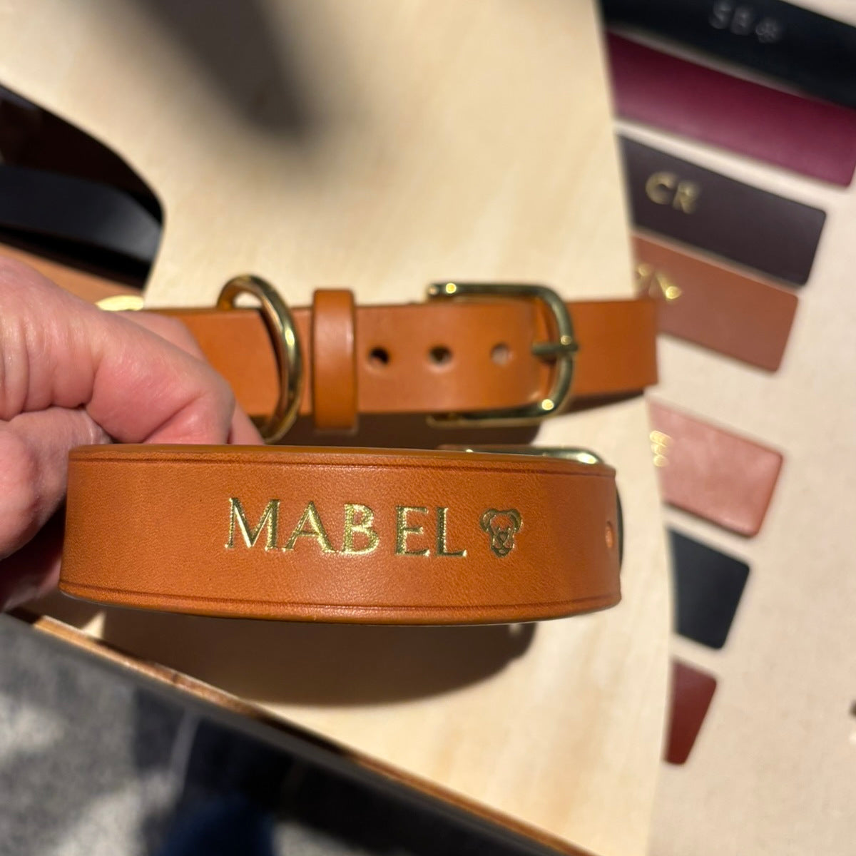 English Bridle Dog Collar in Brick Red