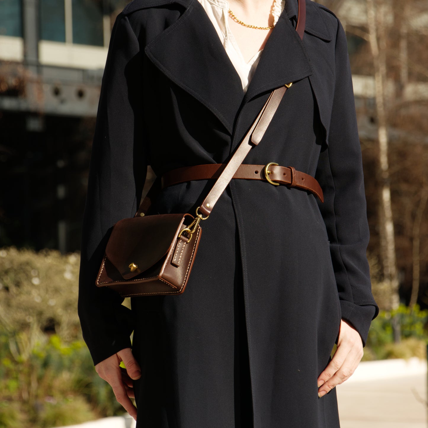 Iris in Brown