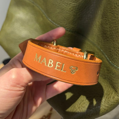 English Bridle Dog Collar in Tan