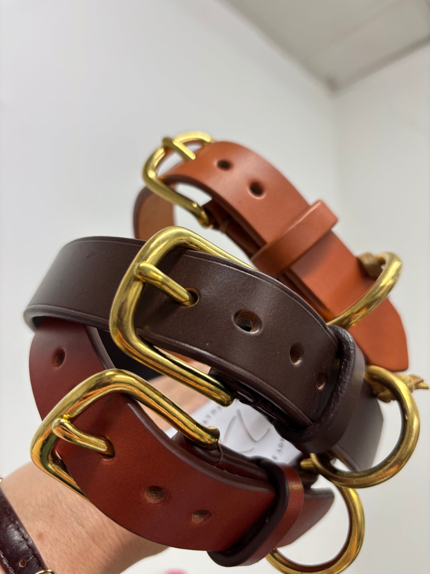 English Bridle Dog Collar in Tan